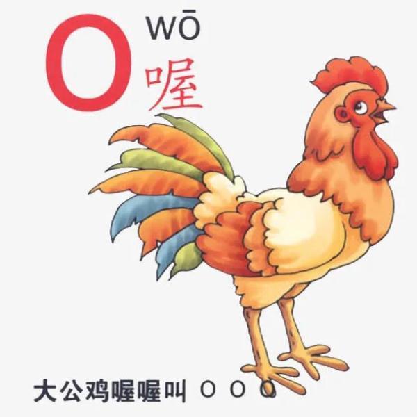 拼音“o”读“欧”还是“窝”？网友吵上热搜！